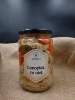 conopida in otet