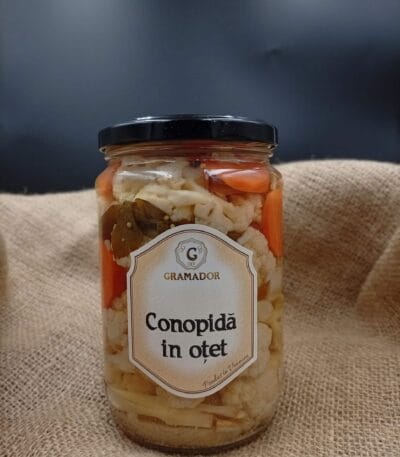 conopida in otet