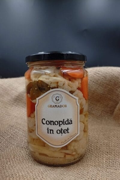 conopida in otet