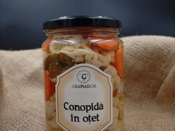 conopida in otet